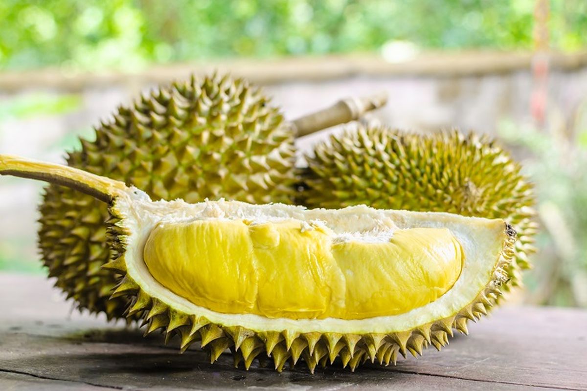 Durian Super Tembaga